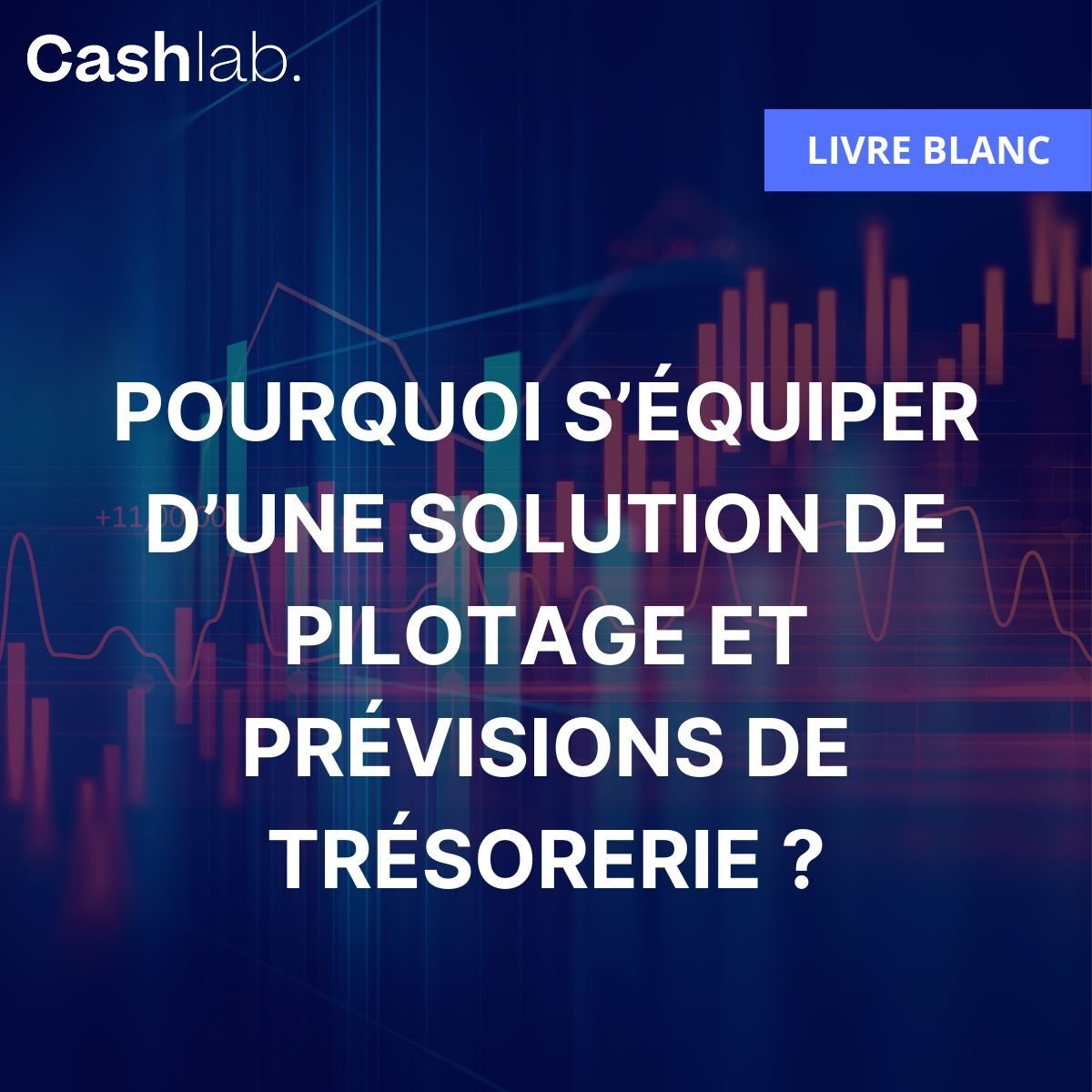 Pourquoi s'équiper d'une solution de pilotage et prévisions de trésorerie